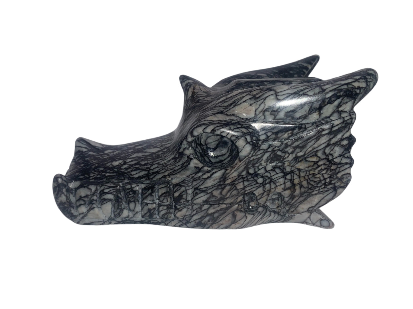6.2" Network Jasper Dragon Skull