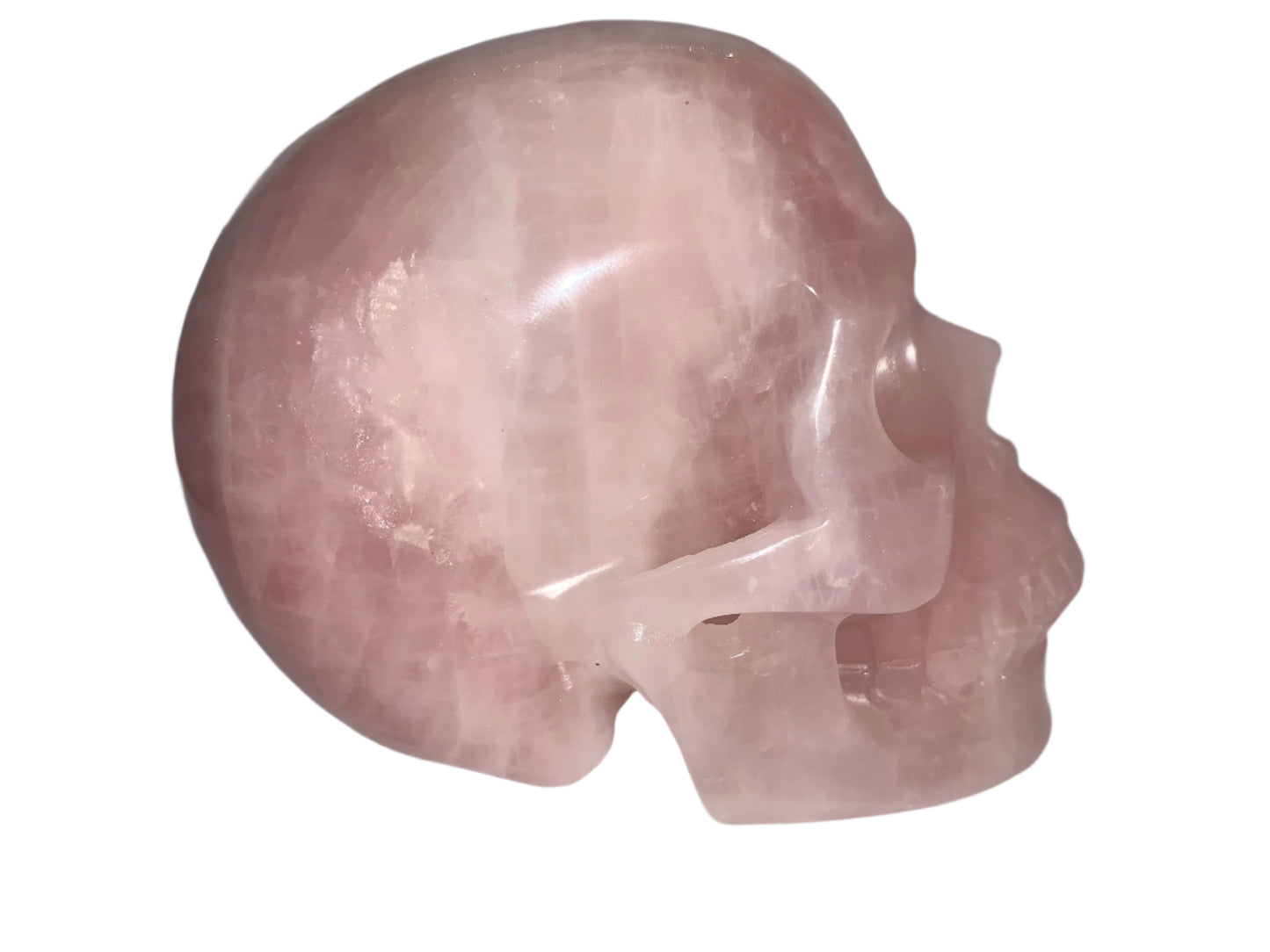 5.3" Rose Quartz Skull