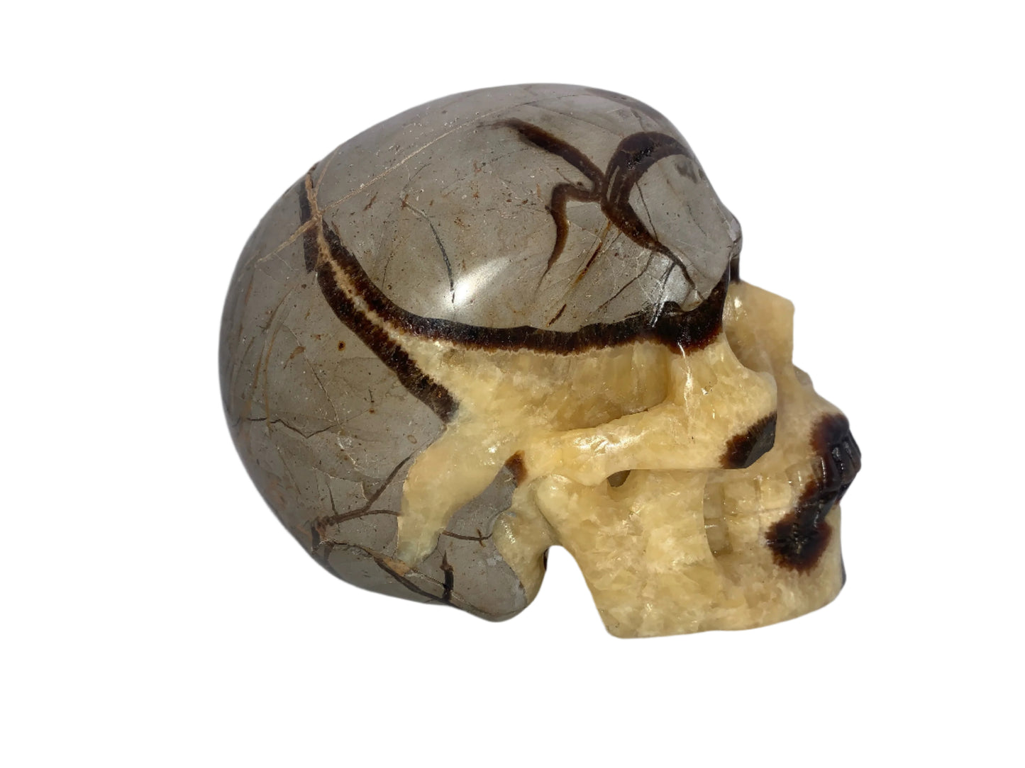 5.4" Septarian Skull
