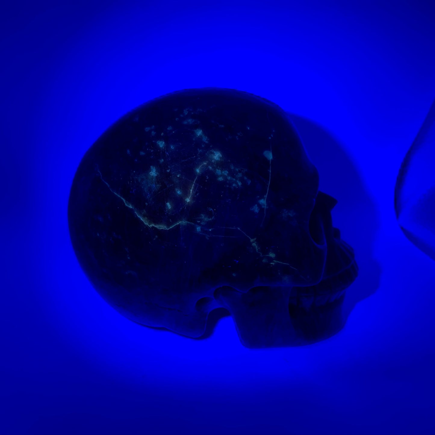 5.3" Sunstone Skull