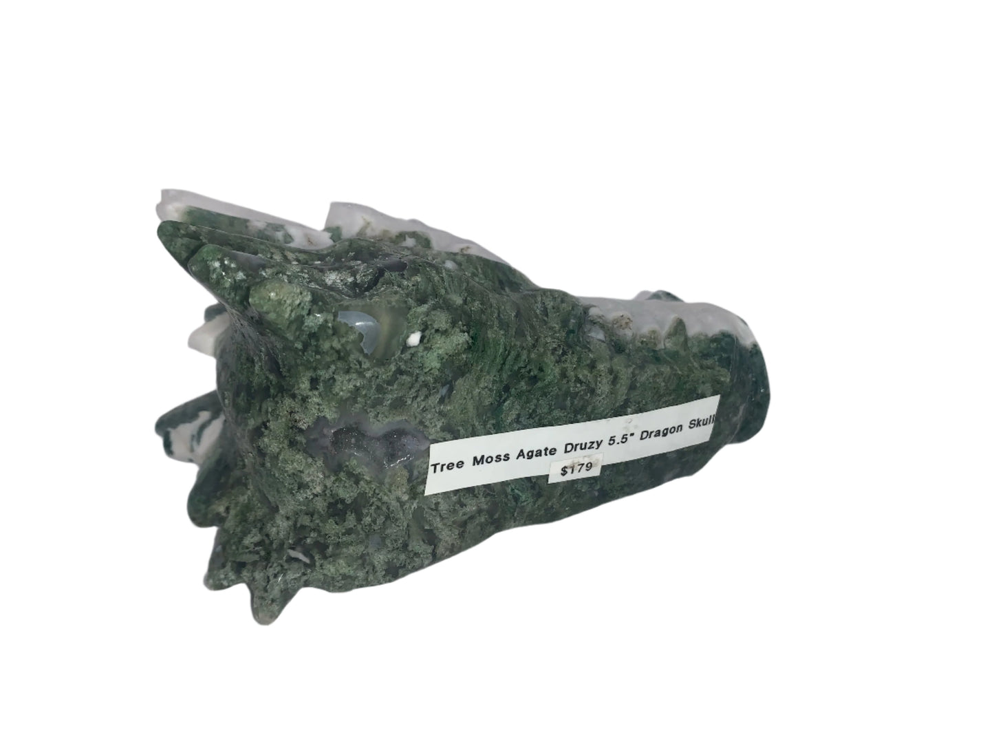 Tree Moss Agate Druzy 5.5" Dragon Skull