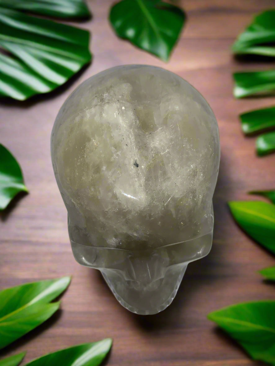 5.4" Citrine & Tourmaline Skull w/ Rainbows