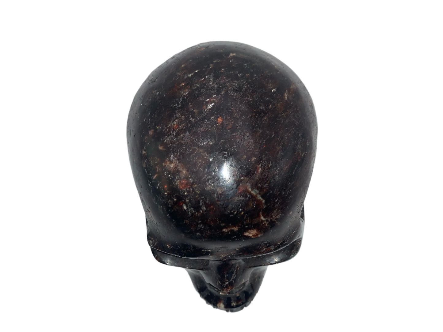 5.3" Garnet, Astrophyllite & Pyrite Skull