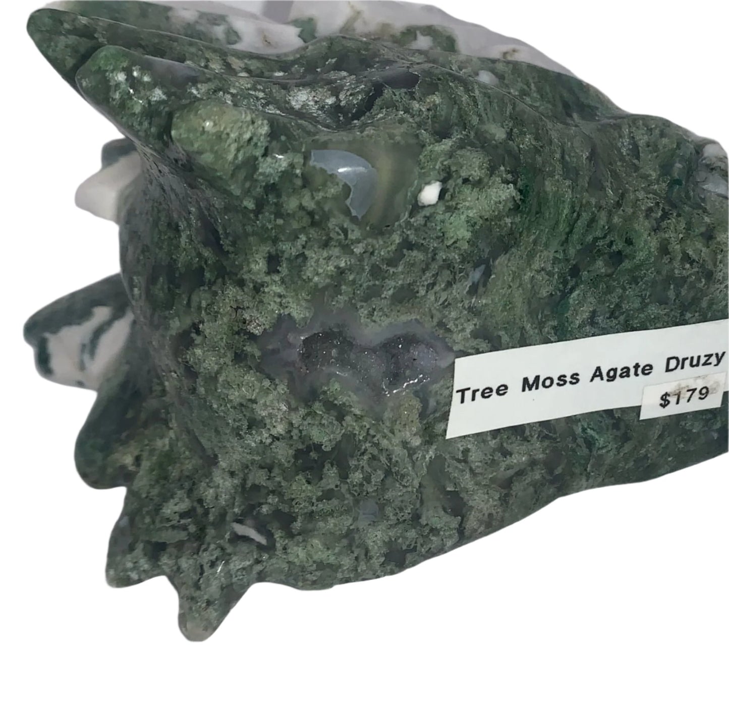 Tree Moss Agate Druzy 5.5" Dragon Skull