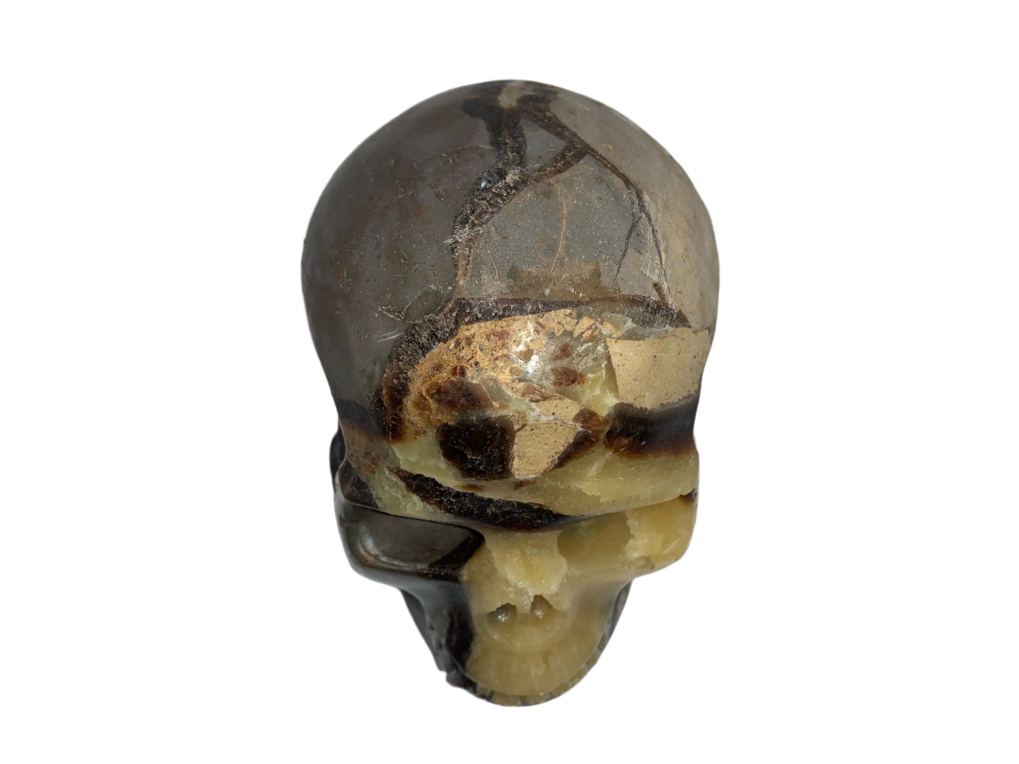 5.3" Septarian Skull