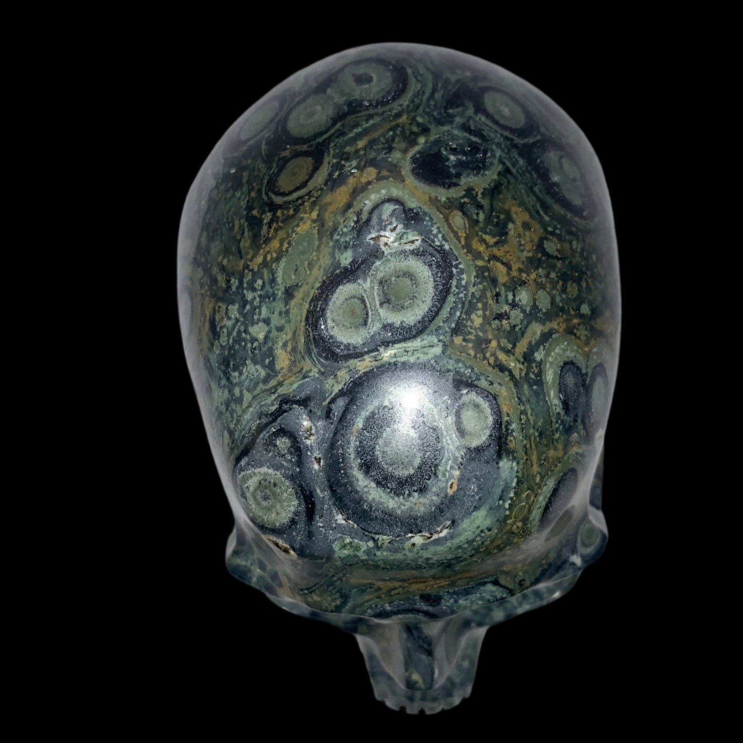 5.3" Kambaba Jasper