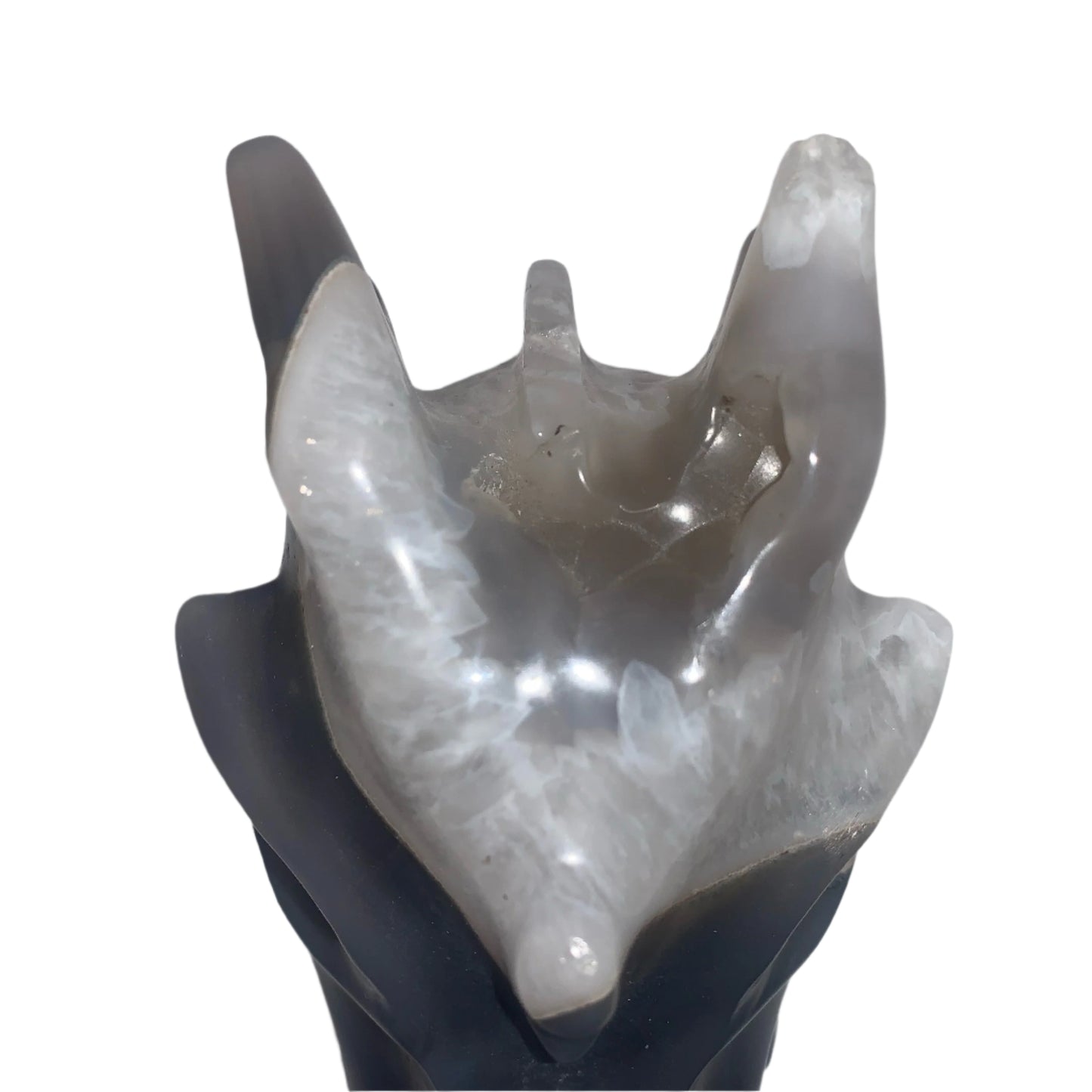 5.3" Gray Agate and White Quartz Dragon Skull