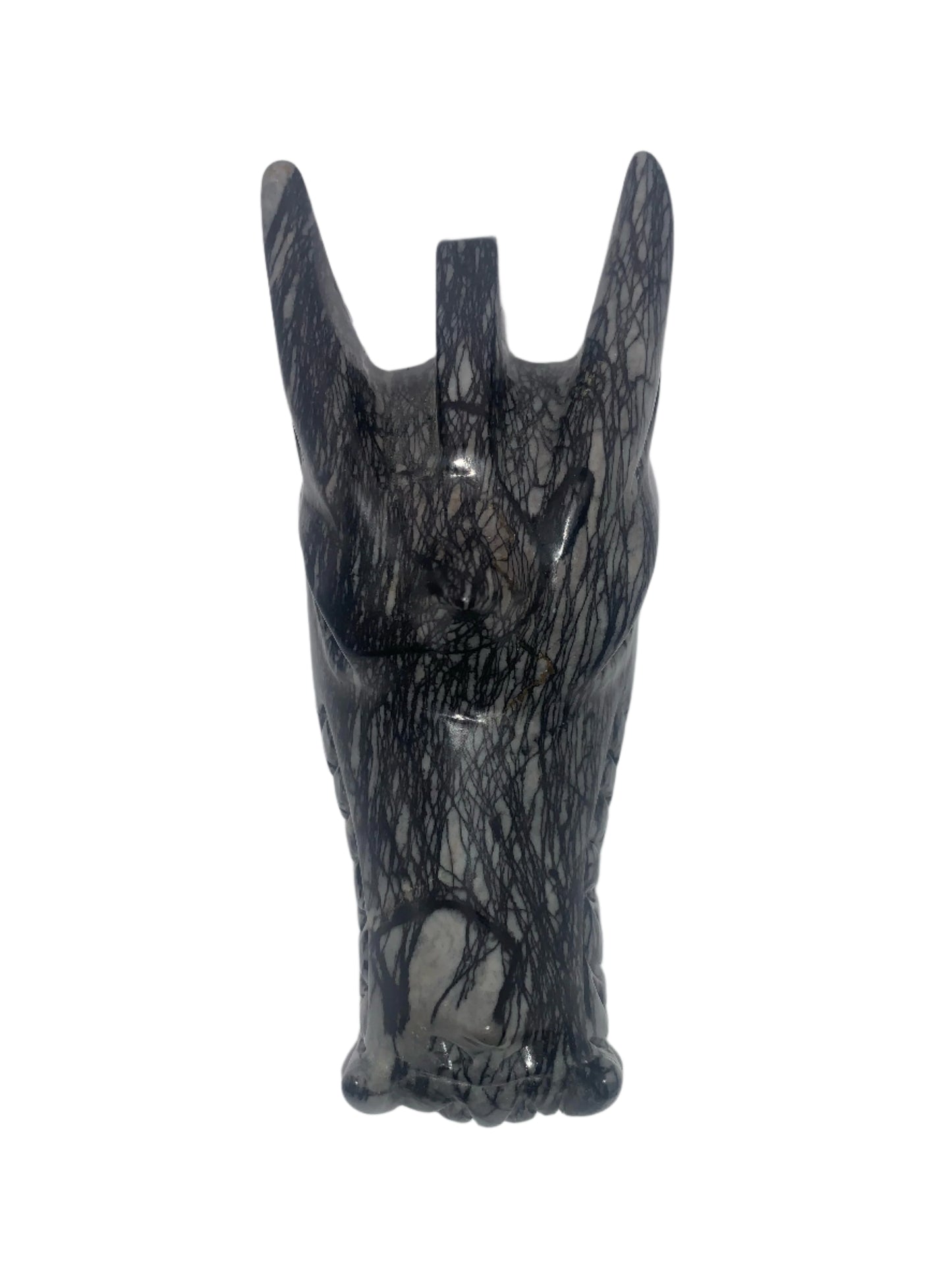 6.2" Network Jasper Dragon Skull