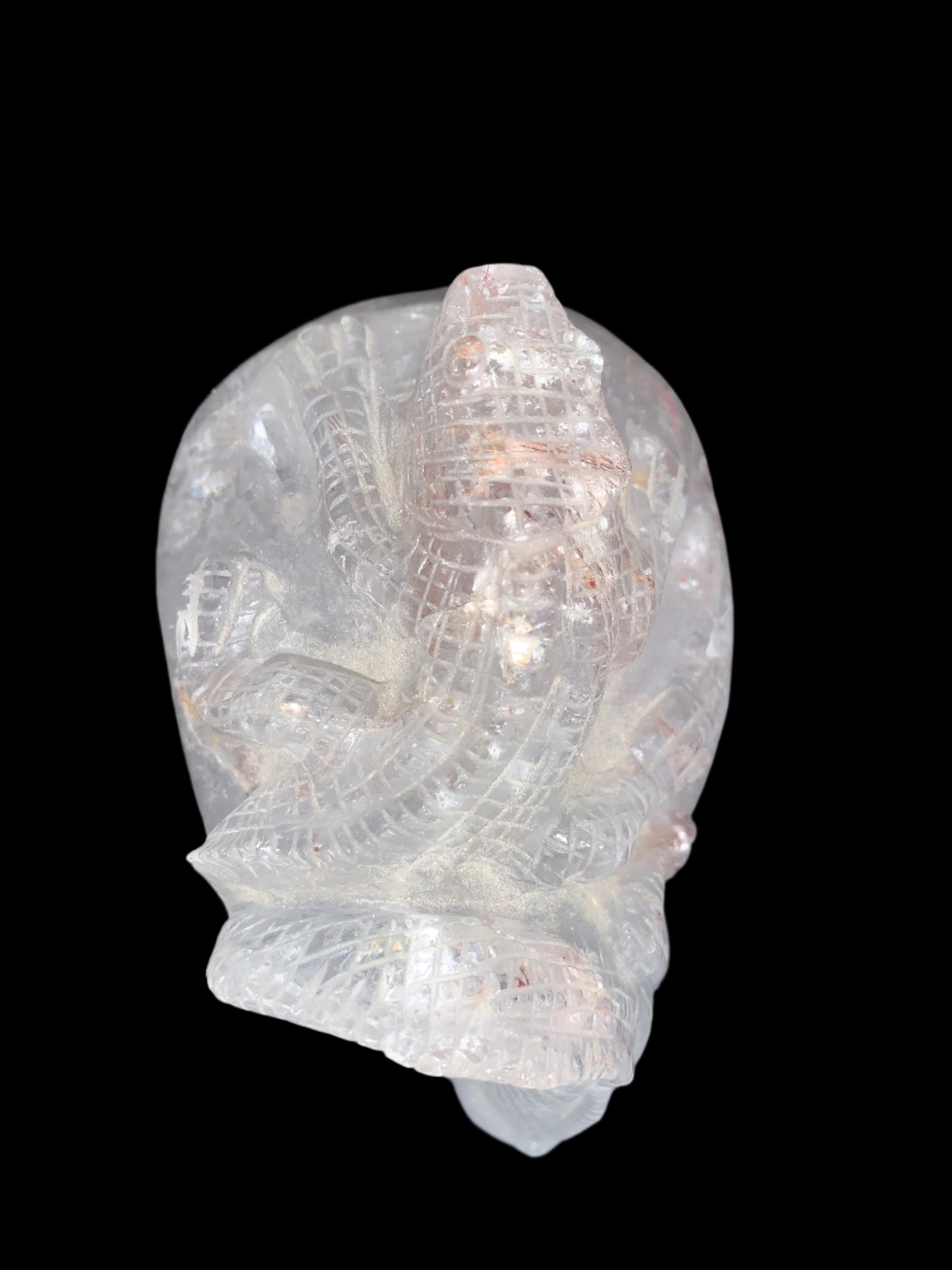 6.75" Copper Rutilated Quartz Lizard Skull w/ Rainbows