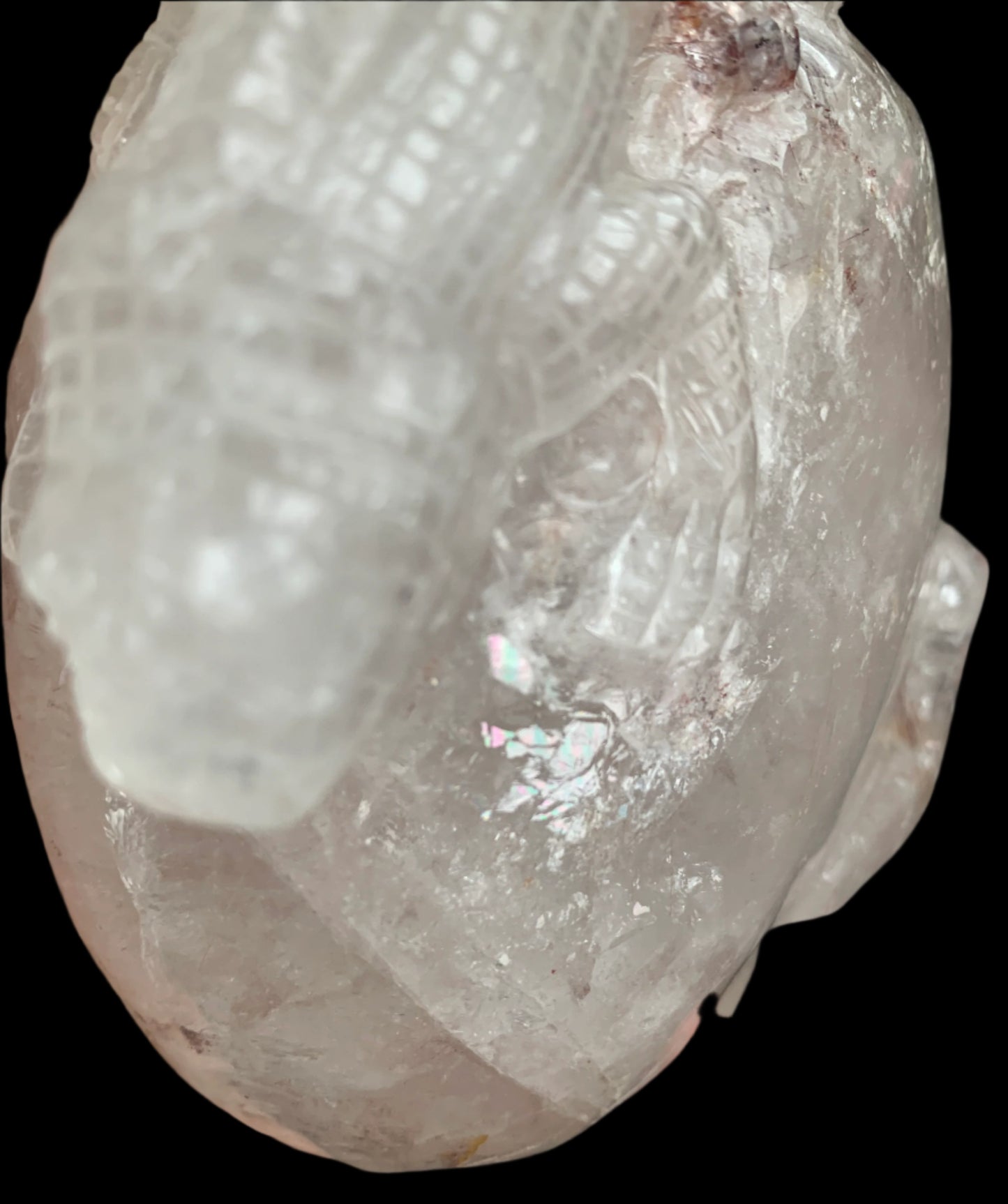 6.75" Copper Rutilated Quartz Lizard Skull w/ Rainbows