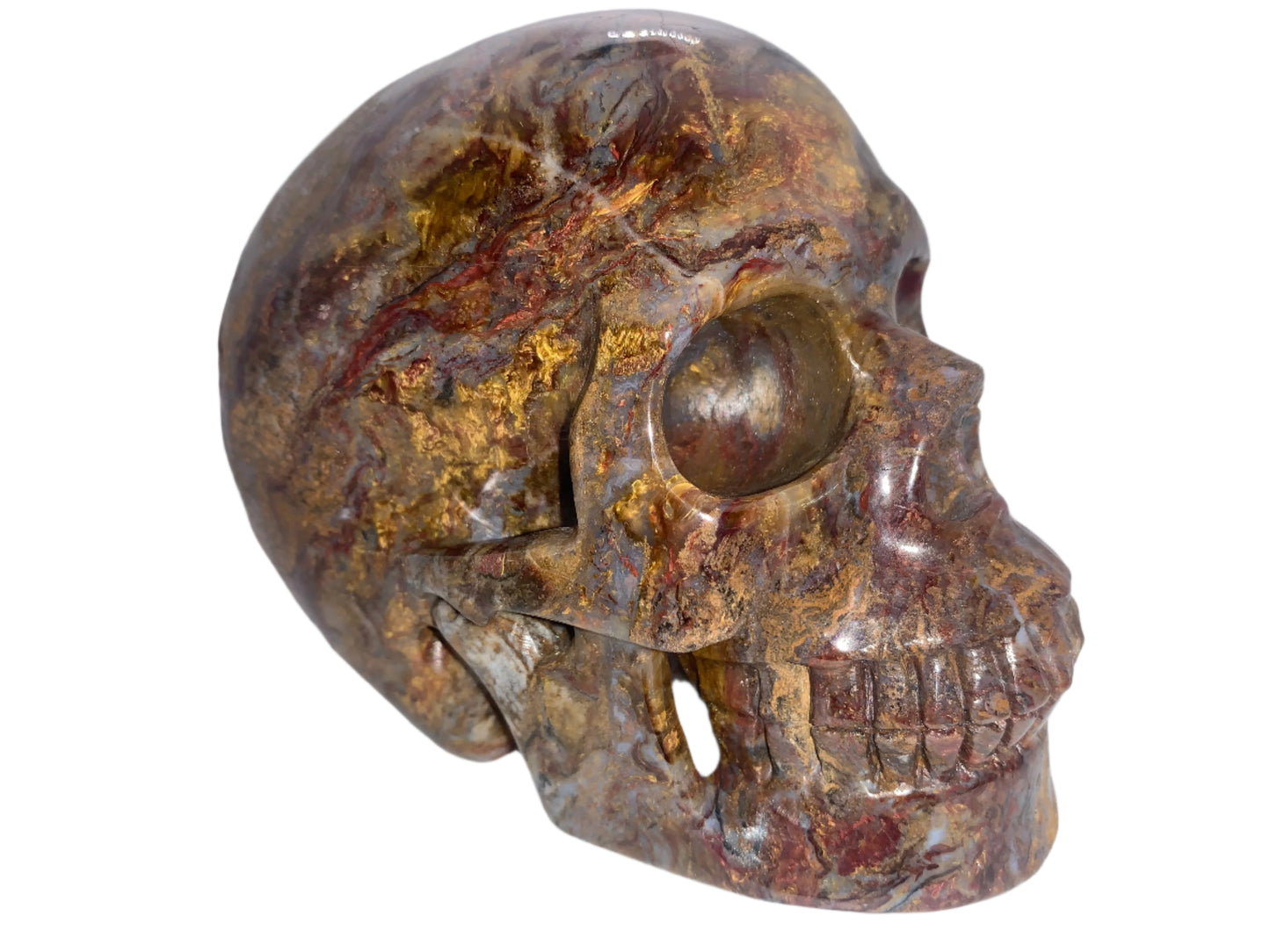 5.4" Pietersite Skull