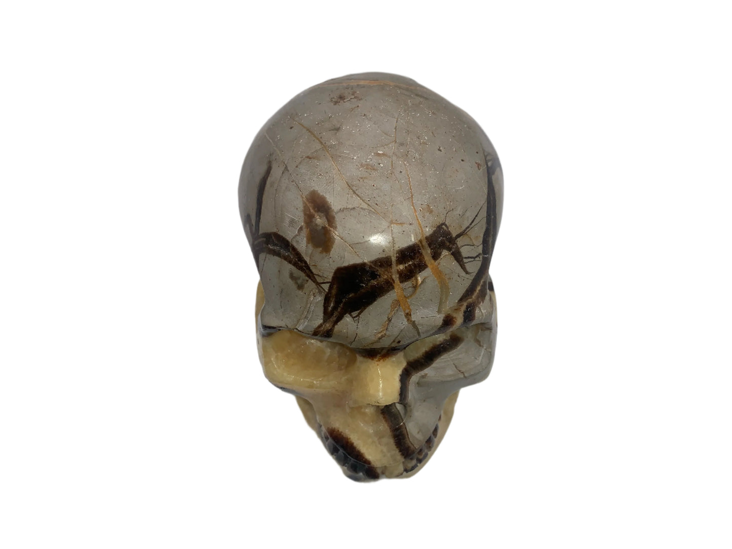 5.4" Septarian Skull