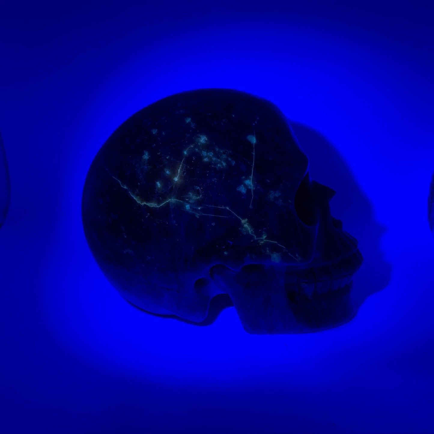 5.3" Sunstone Skull