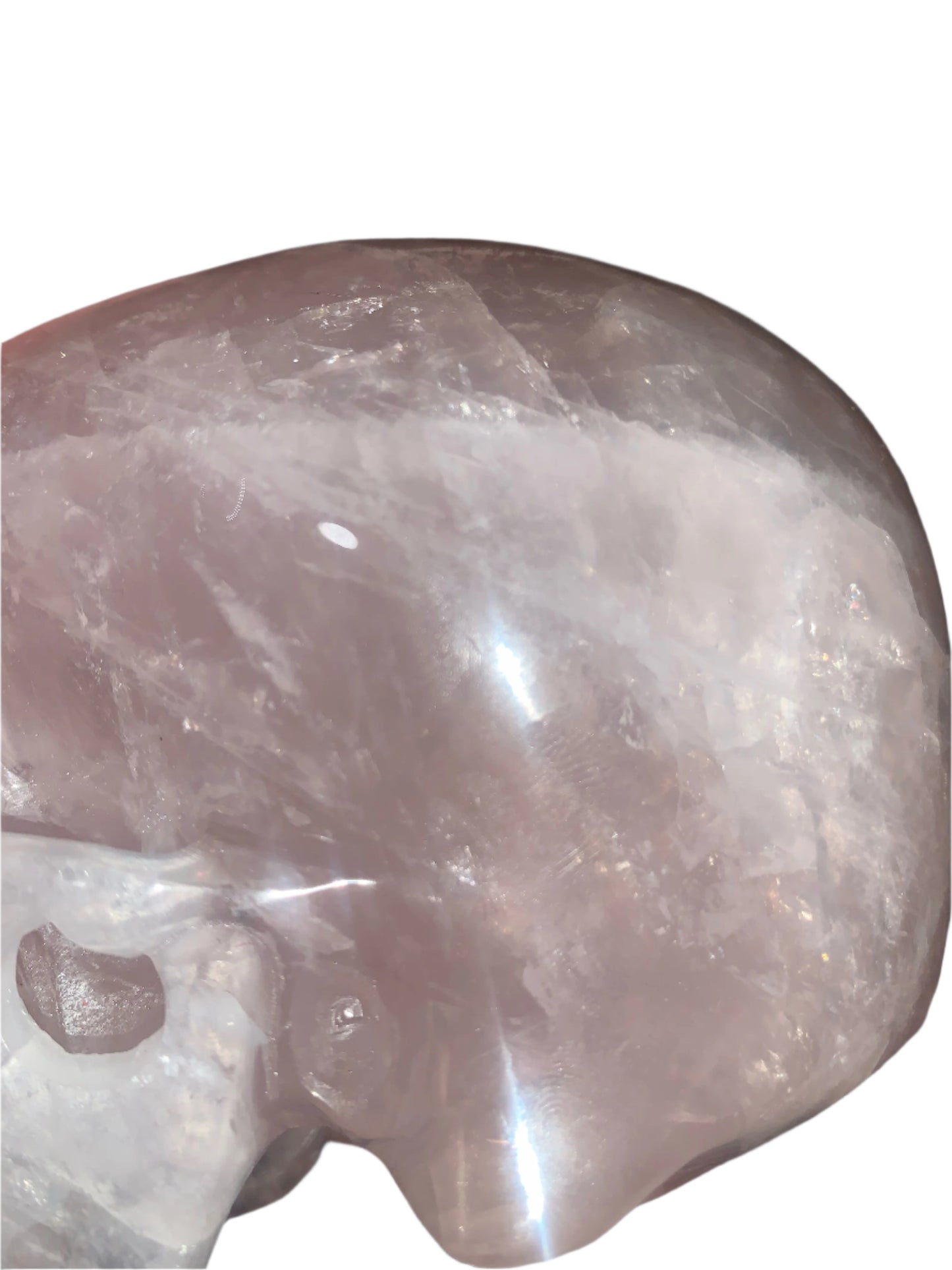 5.3" Rose Quartz Skull w/ Rainbows
