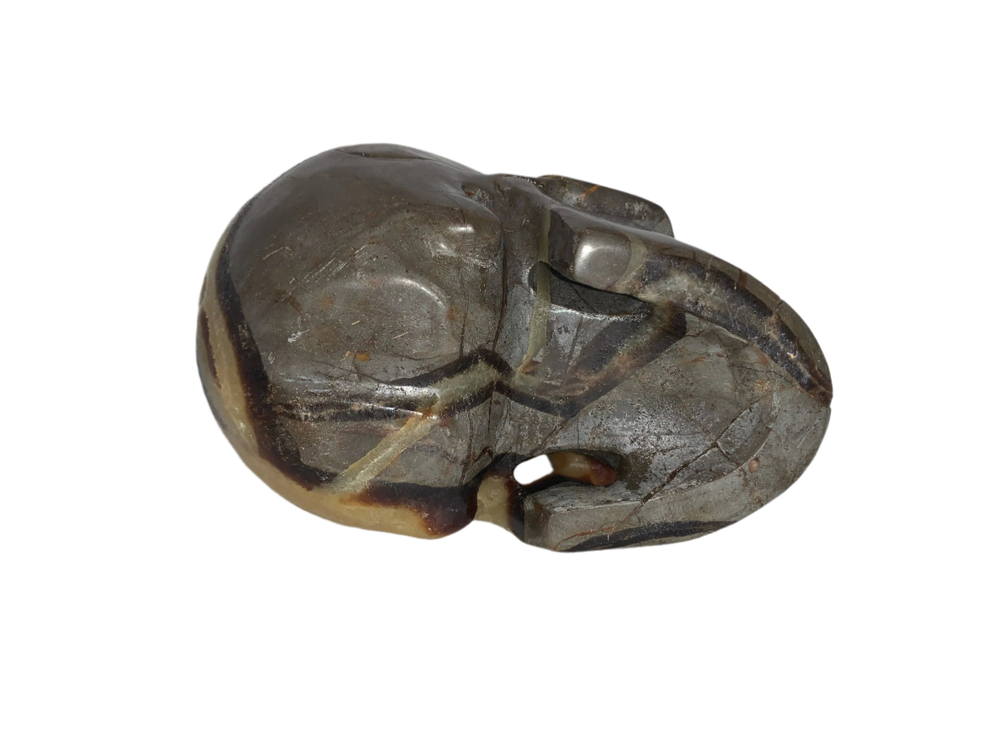 5.3" Septarian Skull