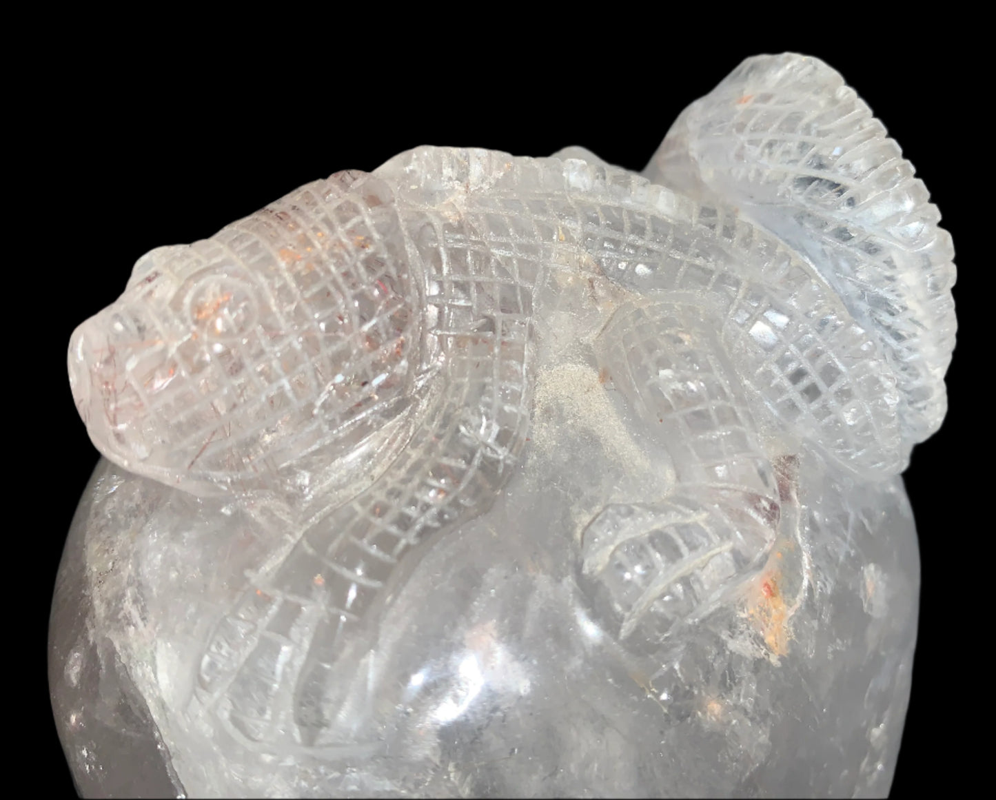 6.75" Copper Rutilated Quartz Lizard Skull w/ Rainbows