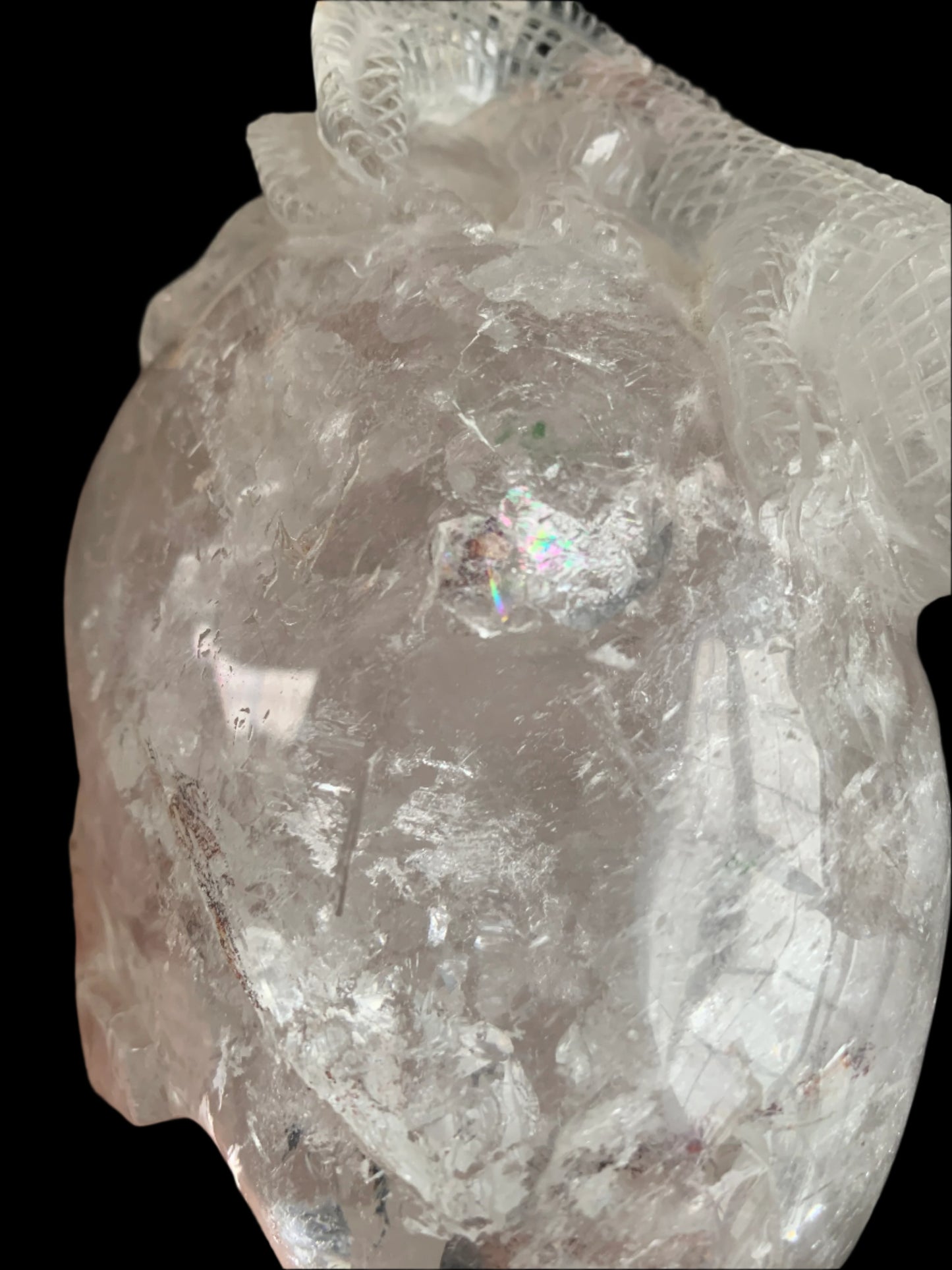 6.75" Copper Rutilated Quartz Lizard Skull w/ Rainbows