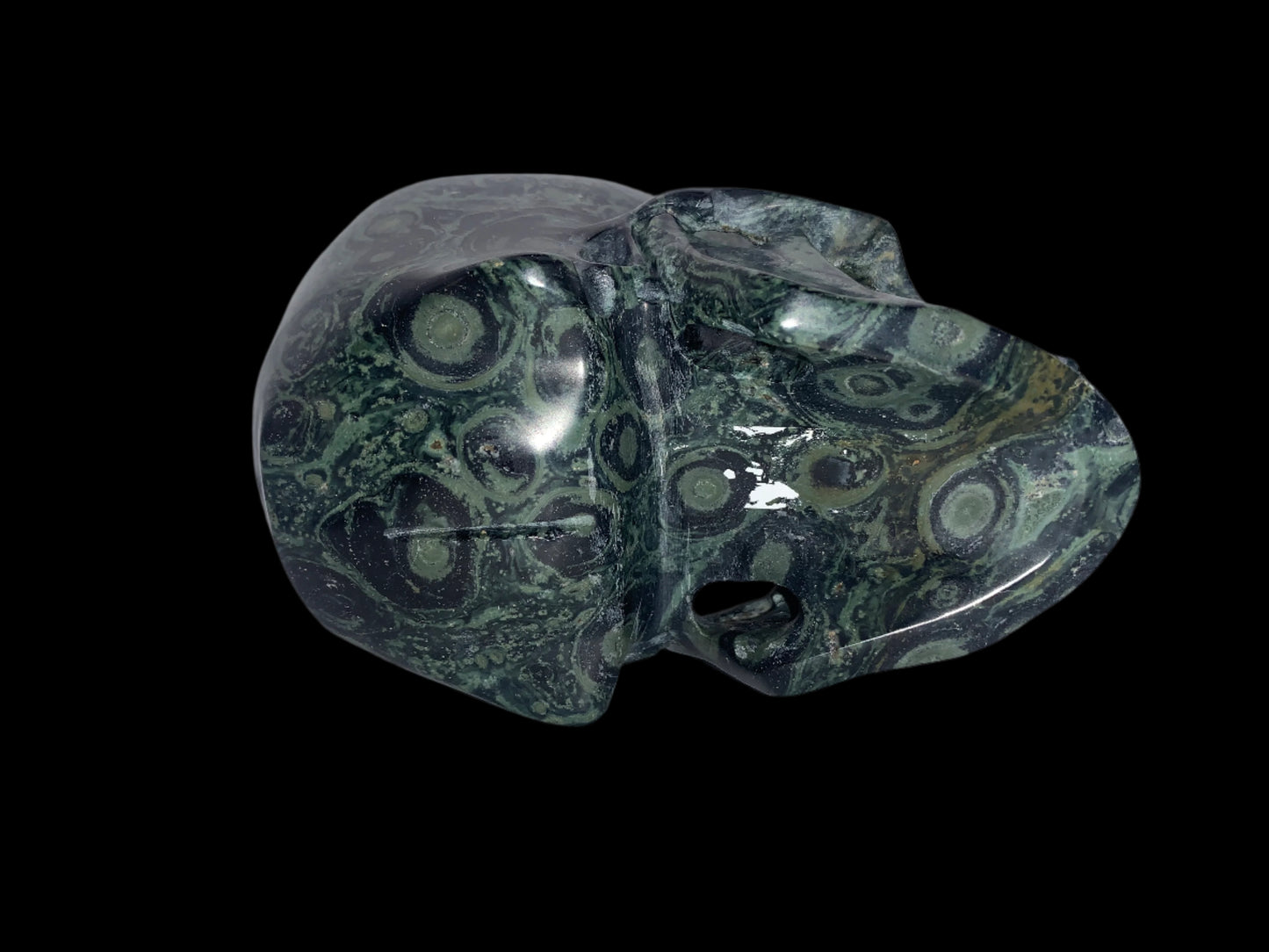 5.3" Kambaba Jasper