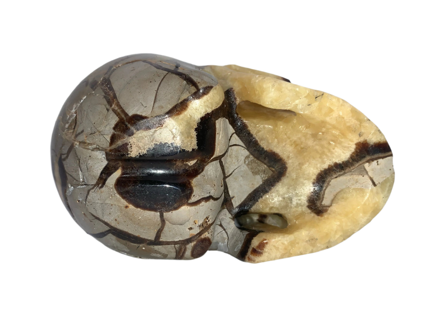5.4" Septarian Skull