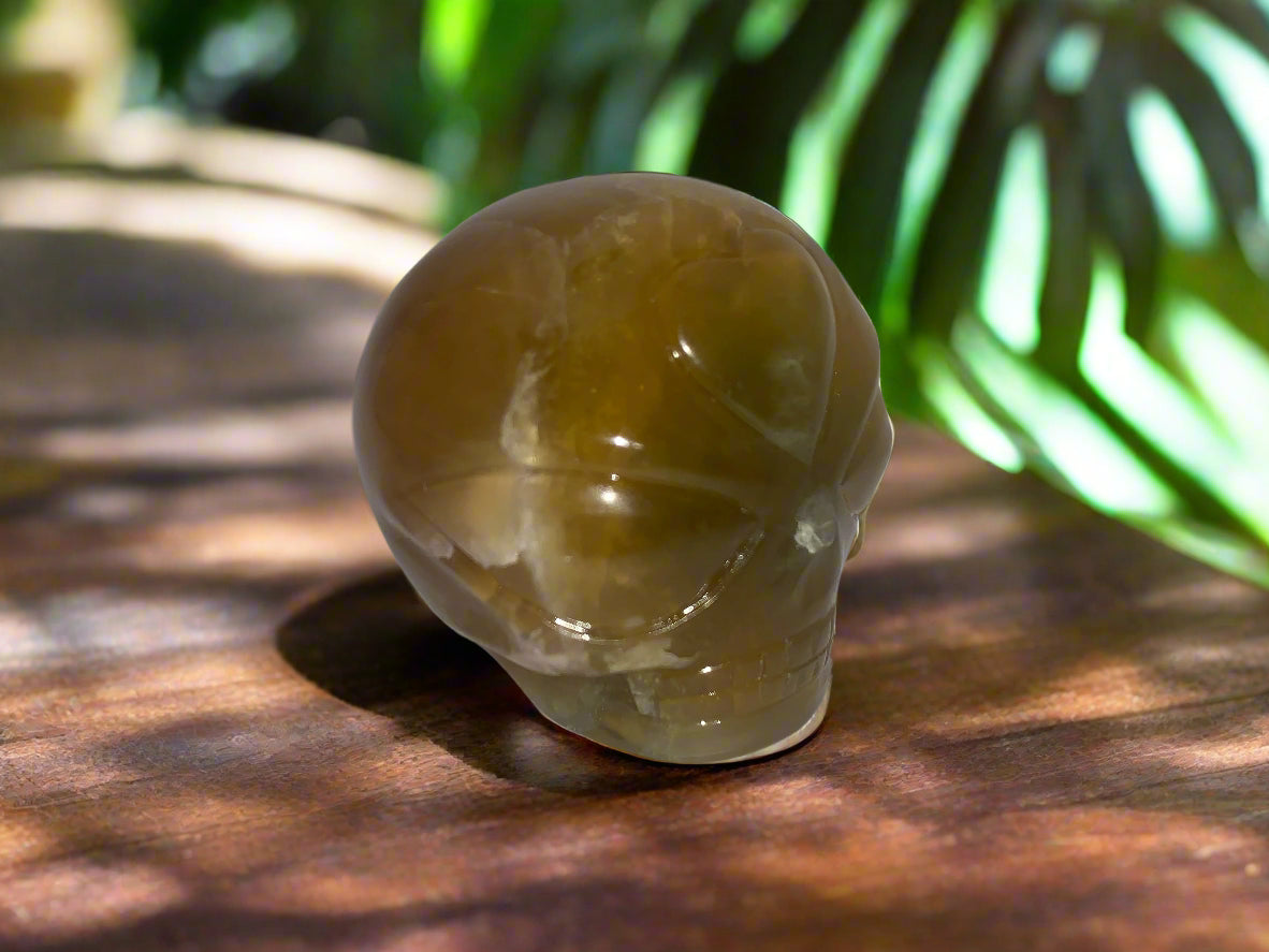 Calavera de niño estrella de fluorita dorada de Leandro
