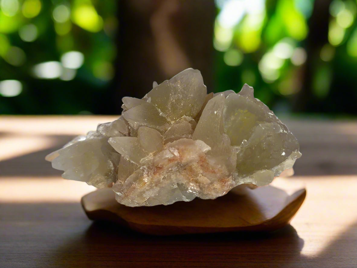 Dogtooth Calcite Cluster