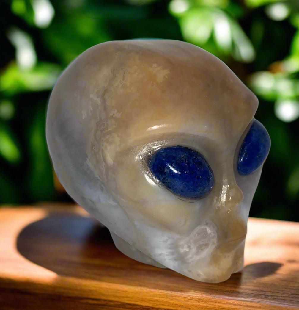Ser estelar de ágata dendrítica cornalina de 4,1" con ojos de lapislázuli