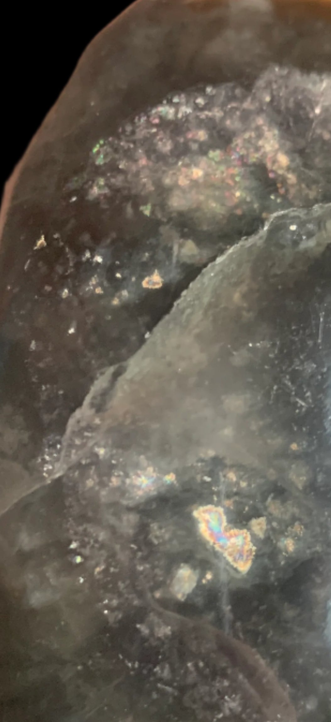 6.4" Rainbow & Black Fluorite Skull w/ Rainbows