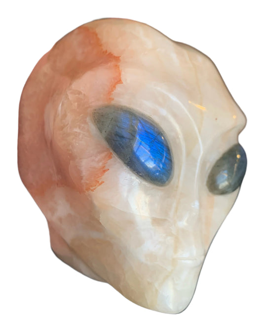 Calavera con forma de estrella de calcita naranja de 4,8" y drusa