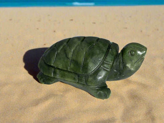 Tortuga serpentina de 3,4"