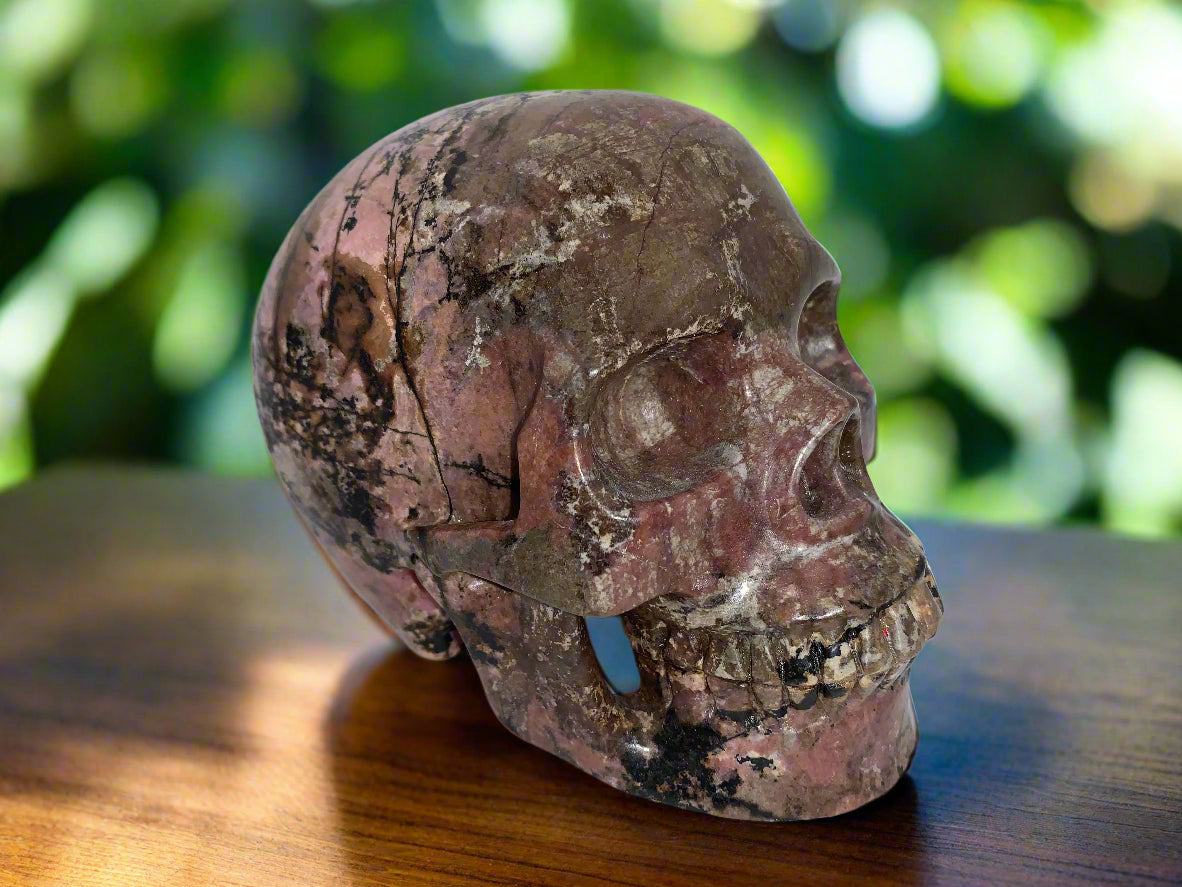 5.4" Rhodonite Skull