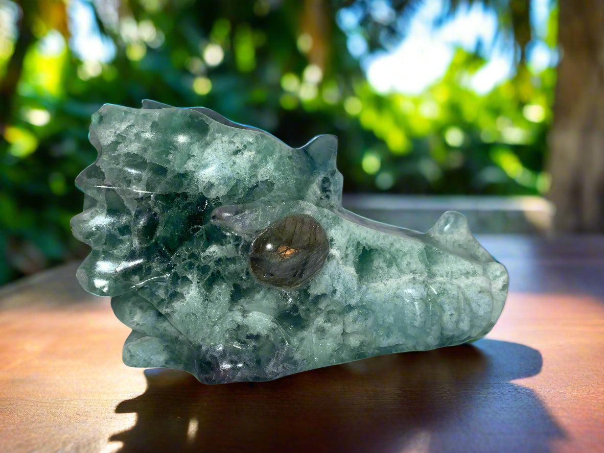 5.4" Fluorite Dragon Skull w/ Labradorite Eyes