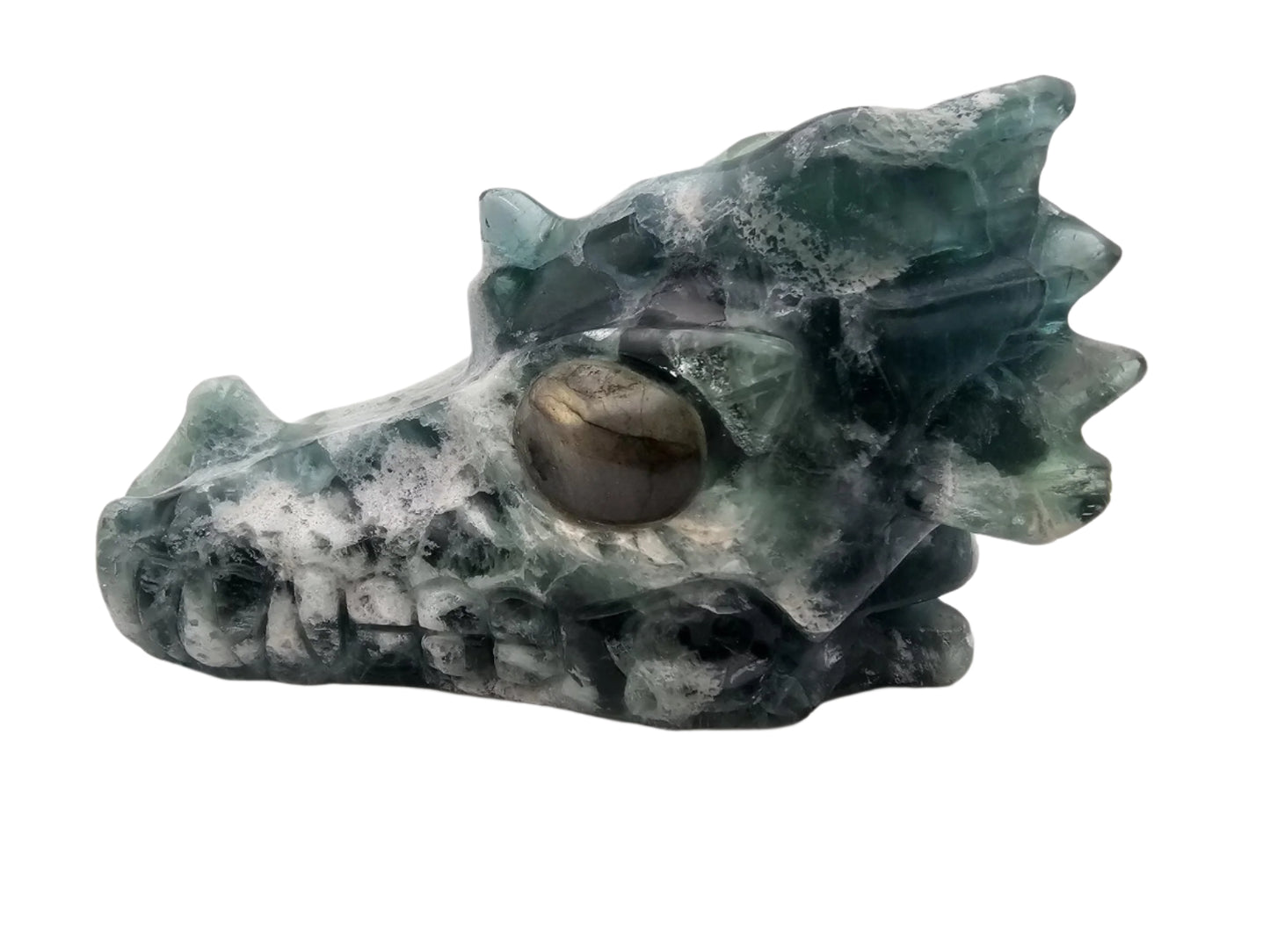 5.4" Fluorite Dragon Skull w/ Labradorite Eyes