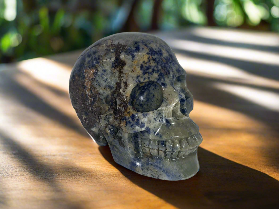 Calavera de sodalita al atardecer de 4,1"