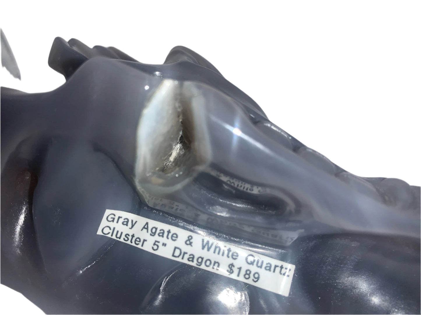 5.3" Gray Agate and White Quartz Dragon Skull