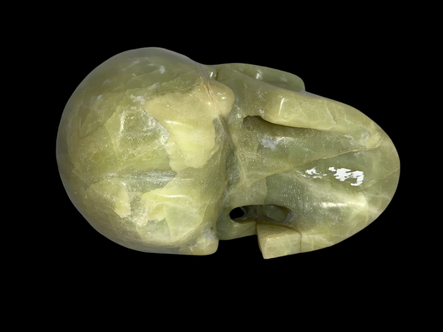 5.2" Serpentine Skull