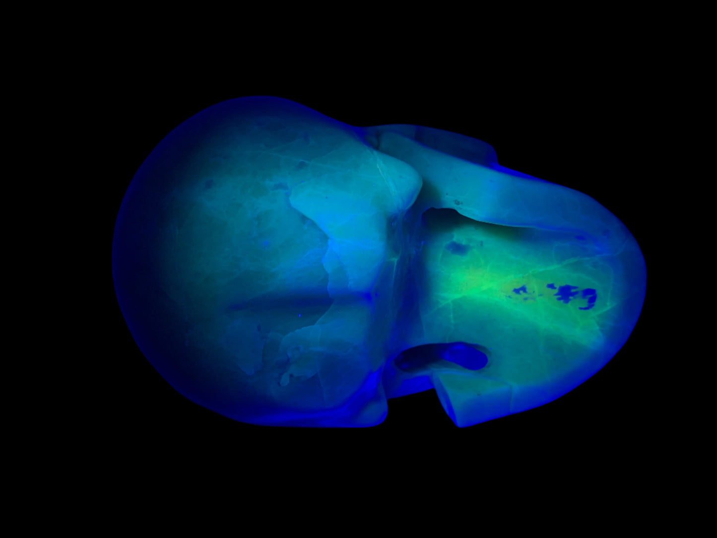 5.2" Serpentine Skull