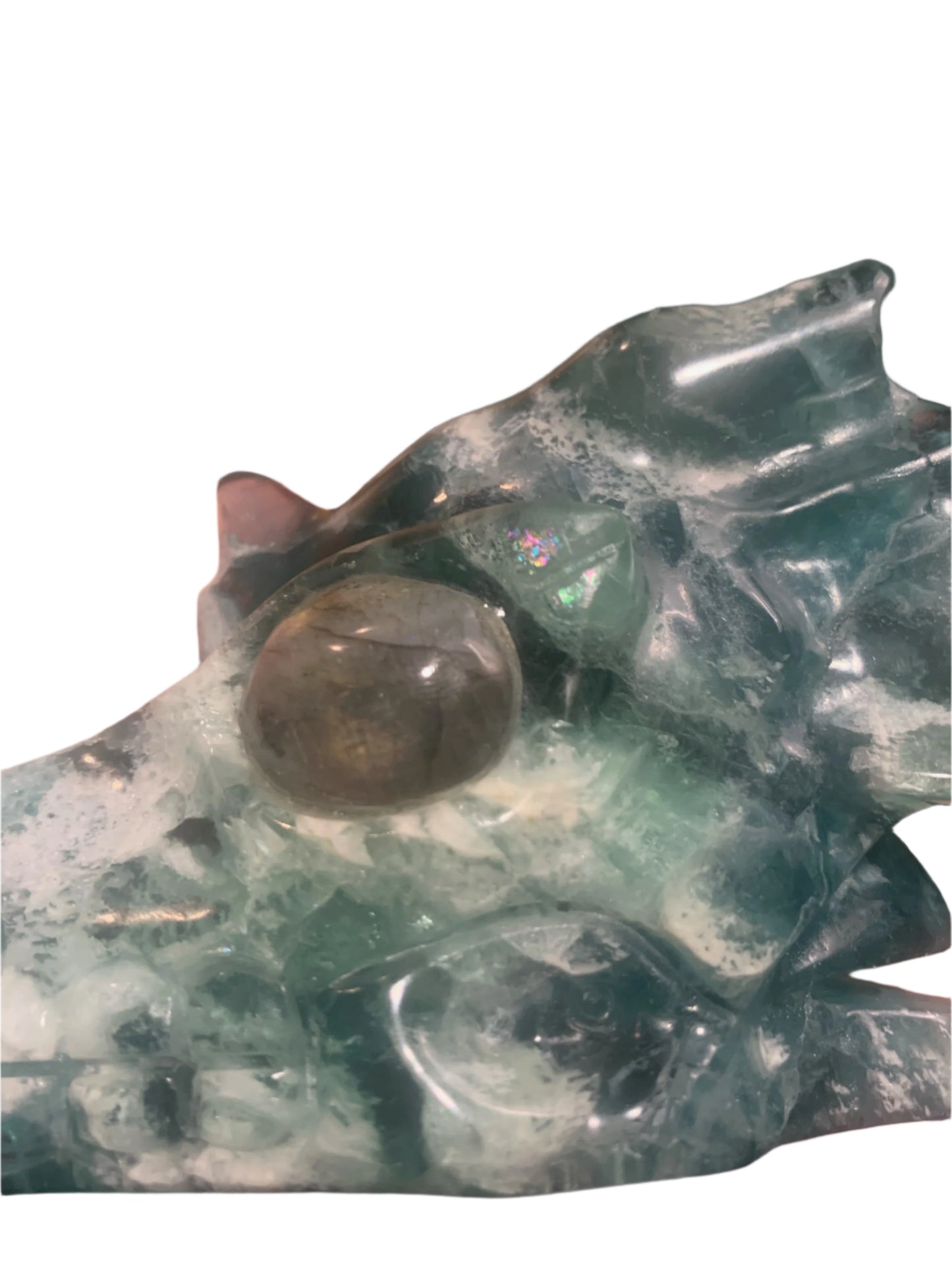 5.4" Fluorite Dragon Skull w/ Labradorite Eyes