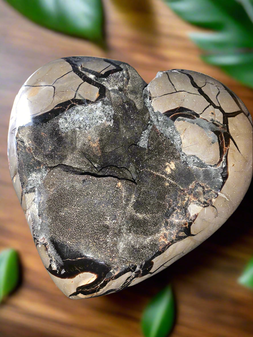 Geoda de septaria, barita y calcita en forma de corazón de 27 lb 9 oz