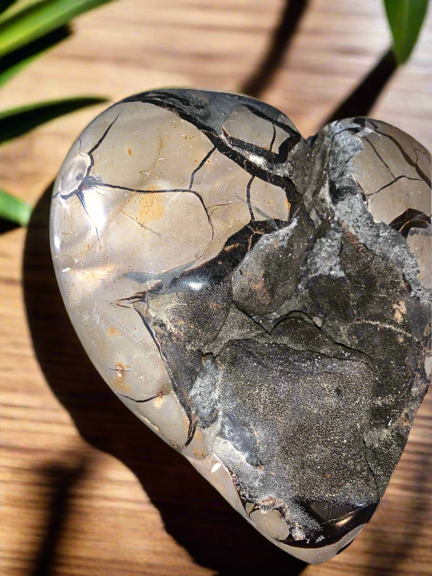 Geoda de septaria, barita y calcita en forma de corazón de 27 lb 9 oz