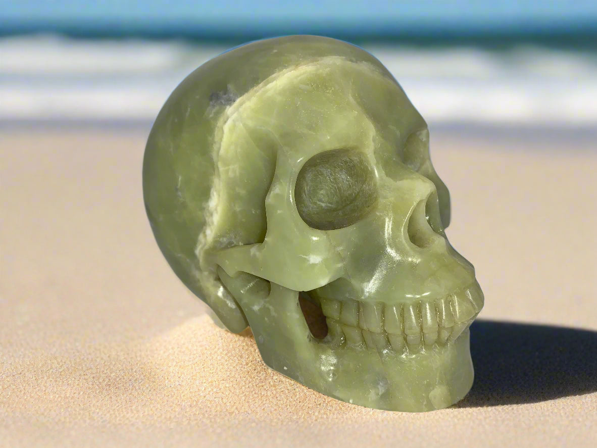 5.2" Serpentine Skull