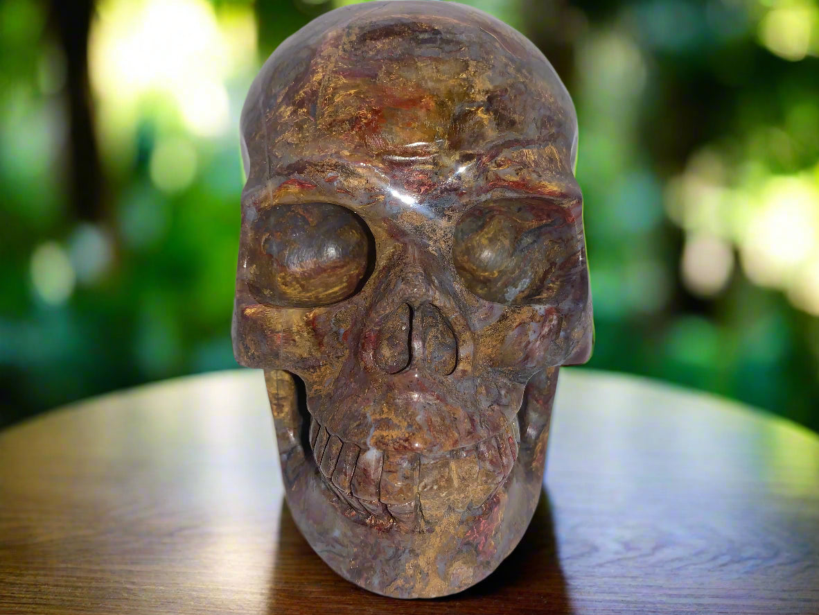 5.4" Pietersite Skull