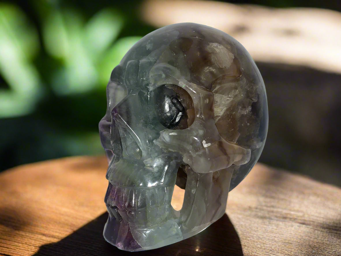 6.4" Rainbow & Black Fluorite Skull w/ Rainbows