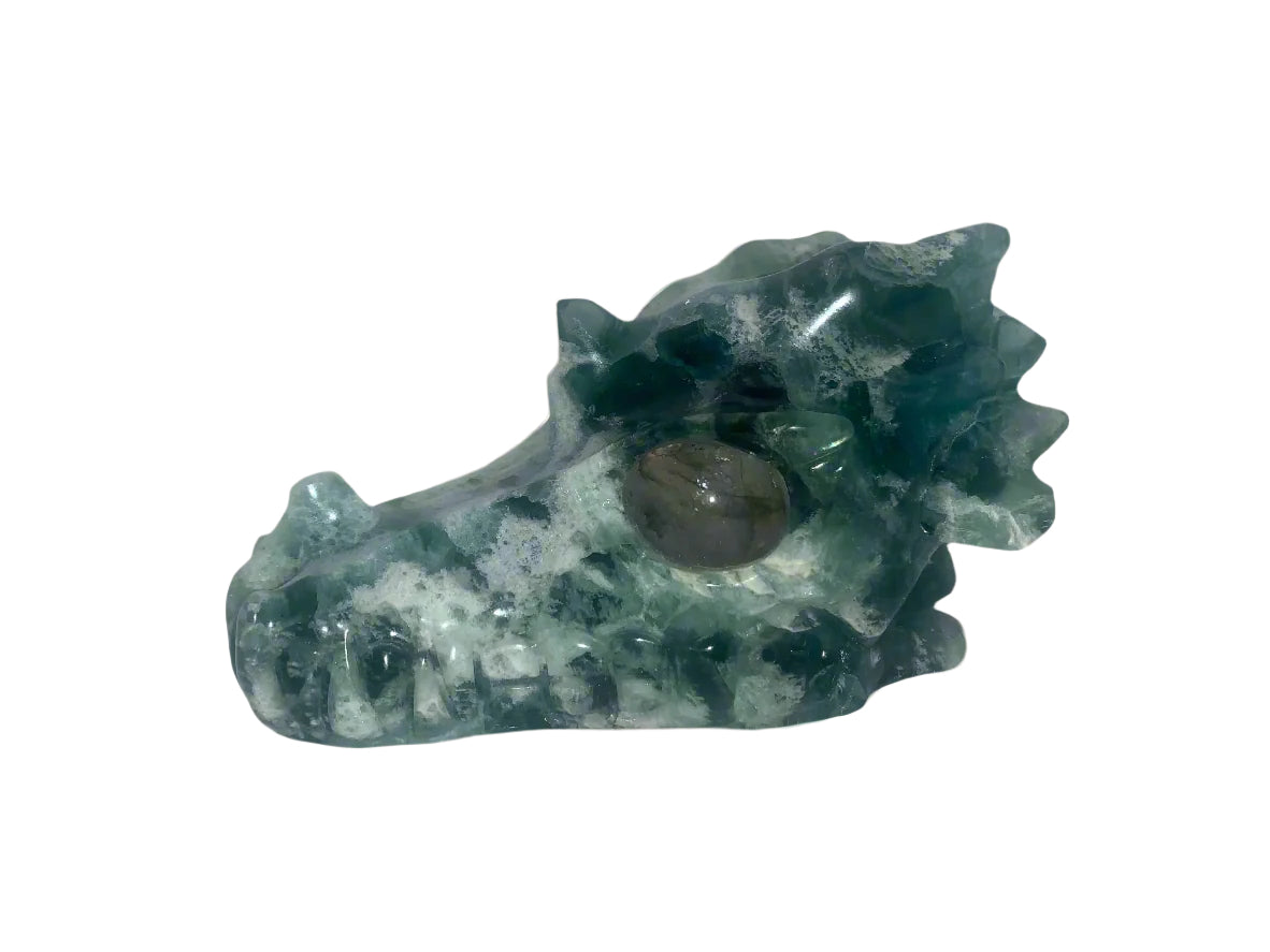 5.4" Fluorite Dragon Skull w/ Labradorite Eyes