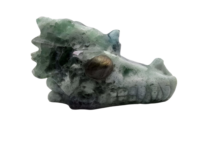 5.4" Fluorite Dragon Skull w/ Labradorite Eyes