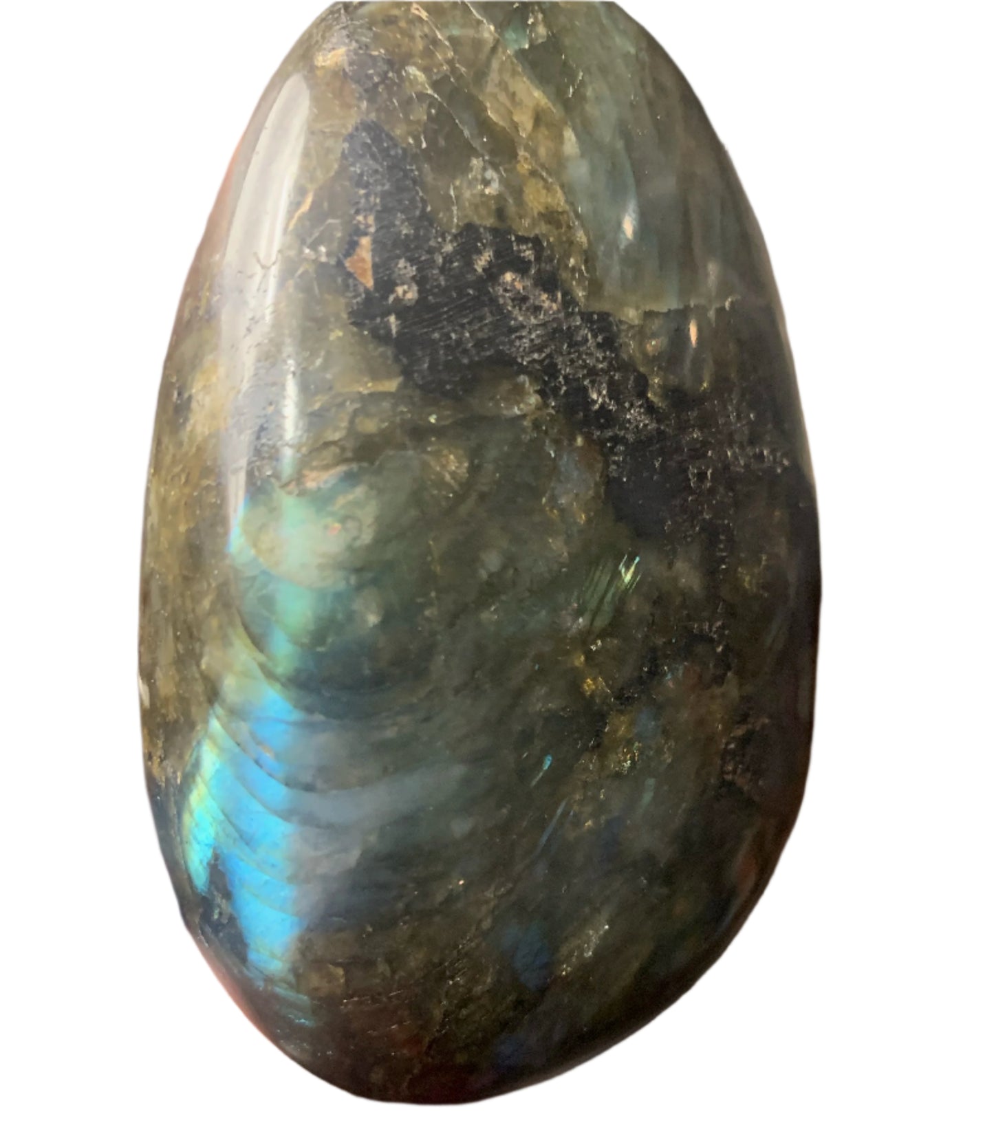 Piedra de palma labradorita
