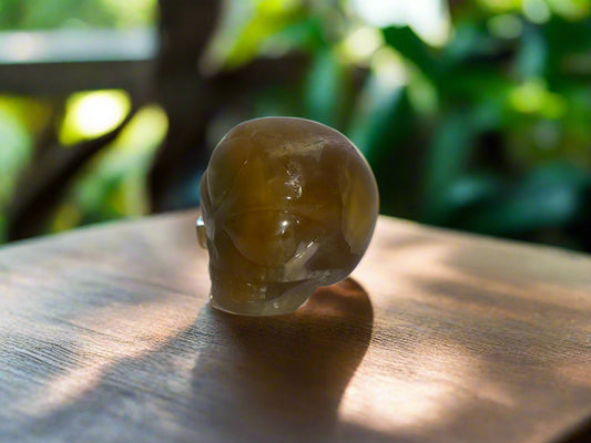 Calavera de niño estrella de fluorita dorada de Leandro