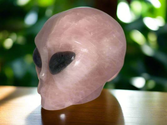 Ser estelar de cuarzo rosa de 4,8" con ojos de labradorita