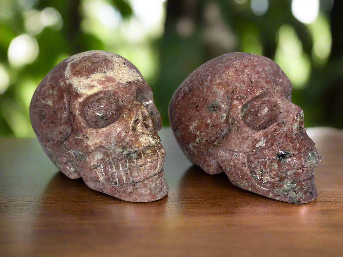 4.4" Pair Of Gatekeeper Peach Blossom Sesame Jasper Skulls