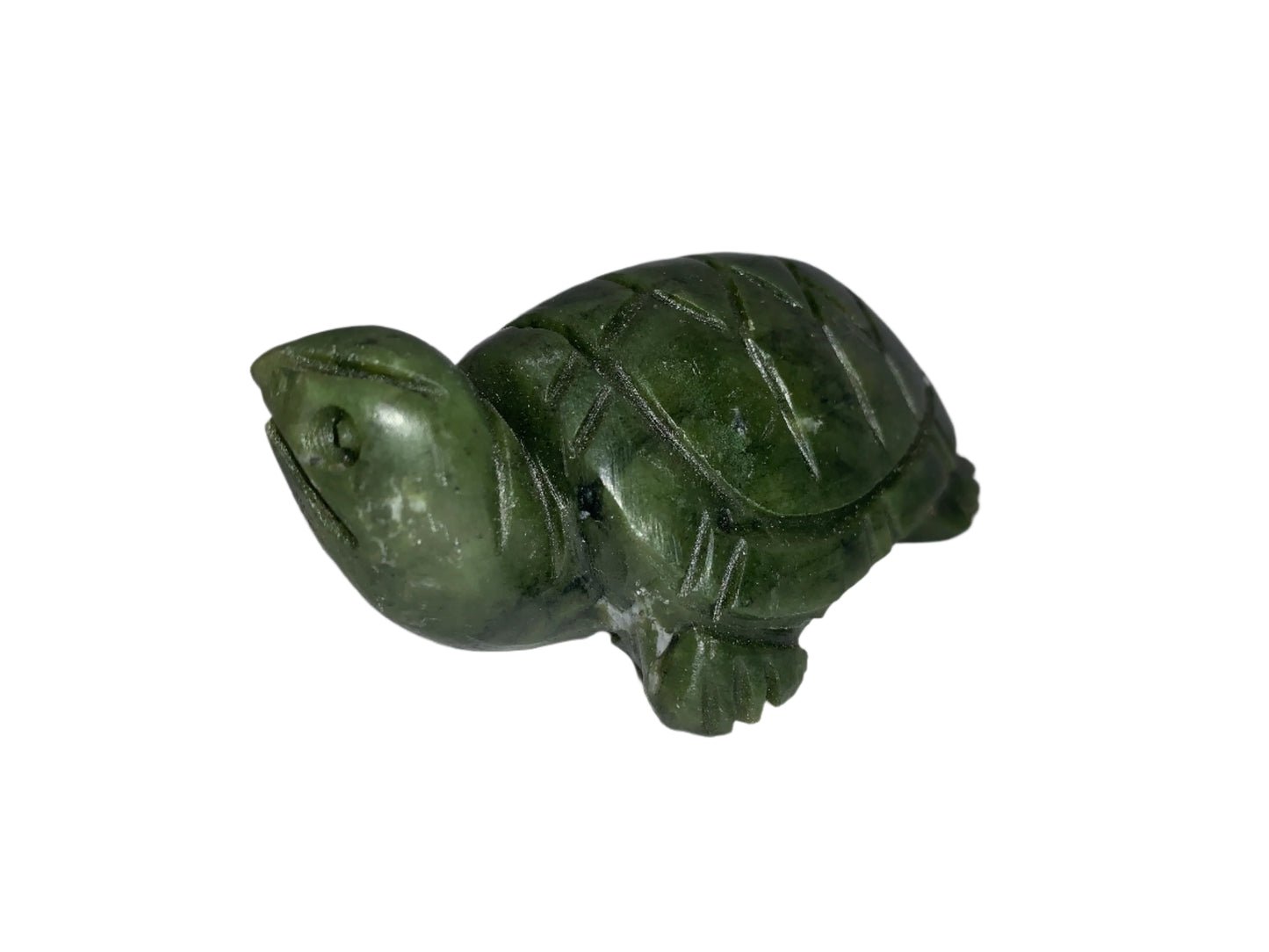 Tortuga serpentina de 3,4"