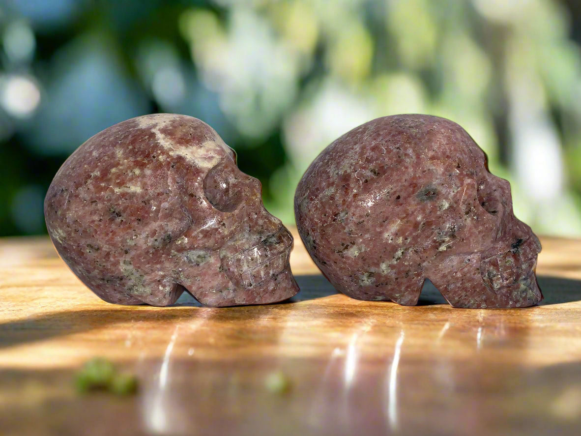4.4" Pair Of Gatekeeper Peach Blossom Sesame Jasper Skulls